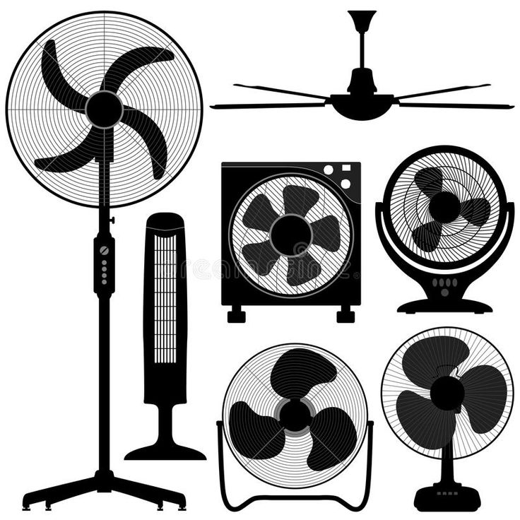 fan